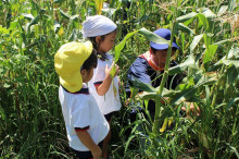 菱田保育園のブログ