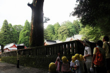 菱田保育園のブログ