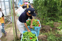 菱田保育園のブログ