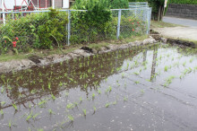 菱田保育園のブログ