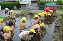 菱田保育園のブログ