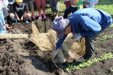 菱田保育園のブログ