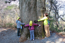 菱田保育園のブログ