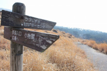 菱田保育園のブログ