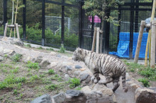 菱田保育園のブログ