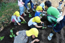 菱田保育園のブログ