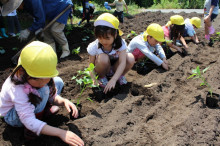 菱田保育園のブログ