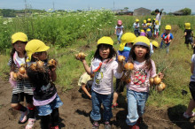 菱田保育園のブログ