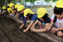 菱田保育園のブログ