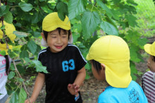 菱田保育園のブログ