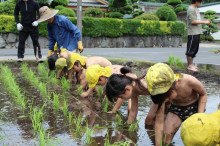 菱田保育園のブログ