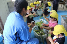 菱田保育園のブログ