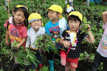 菱田保育園のブログ