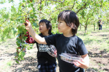 菱田保育園のブログ