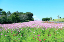 菱田保育園のブログ♪