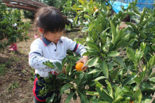 菱田保育園のブログ♪