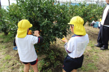 菱田保育園のブログ♪