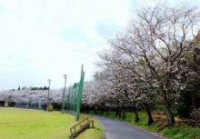 菱田保育園のブログ