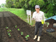 菱田保育園のブログ