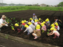 菱田保育園のブログ