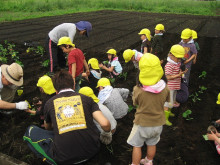 菱田保育園のブログ