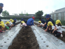 菱田保育園のブログ