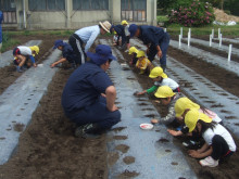 菱田保育園のブログ