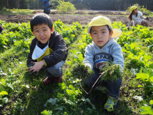 菱田保育園のブログ♪