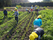 菱田保育園のブログ♪