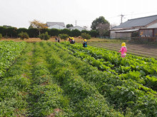 菱田保育園のブログ♪