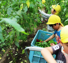 菱田保育園のブログ