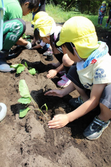 菱田保育園のブログ