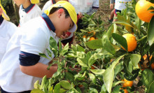 中沖保育園のブログ