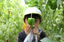 中沖保育園のブログ