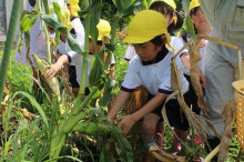 中沖保育園のブログ