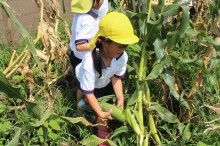 中沖保育園のブログ