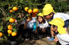 中沖保育園のブログ