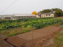 菱田保育園のブログ♪