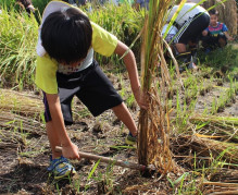 中沖保育園のブログ