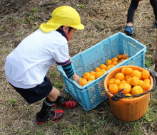 中沖保育園のブログ